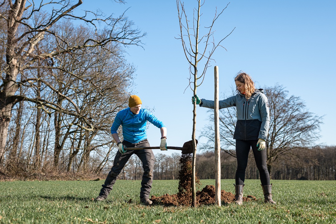 Doe mee met beplantingsproject Zaltbommel in het Groen